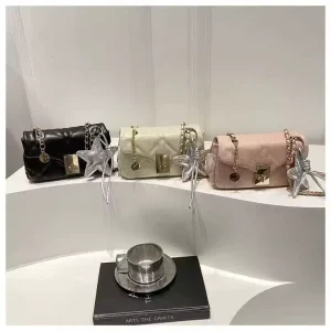 Asuwish Quilted Chain Fashion Crossbody Bag