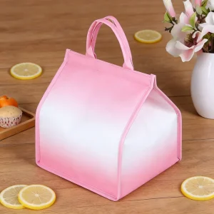 Custom PP Non Woven Insulated Lunch Bag for Women Portable Vintage Style Picnic Bag for Women’s Dress and Fashion