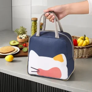 Cute Portable Oxford Lunch Bag Hot Travel Office Picnic Fashion Style Insulated Bottle Kids Lunch Box for Cooling Food