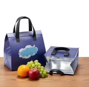 Disposable Lunch Bags for Food Takeaways