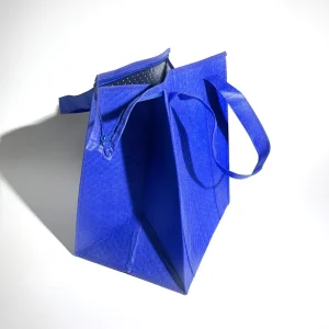 Disposable Non Woven Insulated Lunch & Ice Cream Delivery Cooler Bag for Shopping