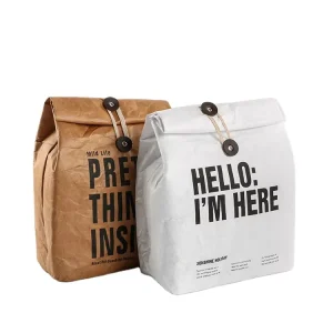 Eco Friendly Custom Waterproof Tyvek Lunch Cooler Thermal Bag Foldable Dupont Paper Insulated Cooler Tyvek Oem Lunch Bags