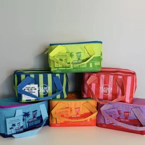 Eco Friendly Outdoor Picnic Min Insulated Tote Lunch Bag Waterproof Cooler Bag Zipper Closure Insulated Bag