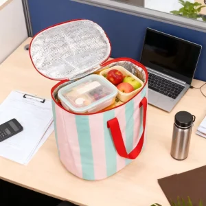 Fashion Design Insulated Polyester Lunch Bag with Zipper Closure for Women Leakproof for Work School Picnic 32L