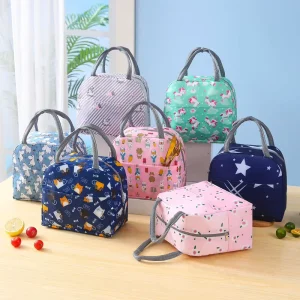 Insulated Lunch Bag Oxford Cloth Waterproof Hand-Held Bento Bag for Students Outdoor Portable Picnic Bags