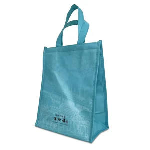 Insulated Lunch Bag with velcro