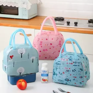 Kids Lunch Bag Children School Lunch Box Bag for Girls Portable Work Insulated Lunch Box Bag for Adults