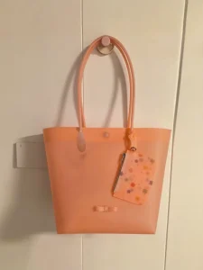 Ladies Stylish New Ins Hot Tote Bag Trending Jelly Designer Style Handbag Fashion Shoulder Crossbody Bag for Shopping and Party