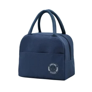 Low Price High Quality Lunch Bags Insulated Lunch Bag for Kids Portable Foil Thickened Lunch Bag With Multiple Colors