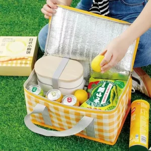 Lunch Bag Delivery Thermal Insulated Picnic Camping Lunch Cooler Bag Backpack Blanket Sand Proof Beach Mat Low Picnic Table