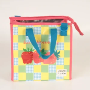 Lunch Bag PEVA EVA Insulated Lunch Bag for Work School Daily Use Travel Keep Food Fresh Durable
