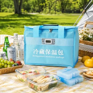 Multi Purpose Refrigerated Cooler Bag for Medicine Vaccine Food Beverage and Grocery Delivery