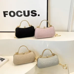 New Hot Selling Popular Women’s Fashion Lady Candy Banquet Bag Hasp Closure Small Single Shoulder Crossbody Chain Bag