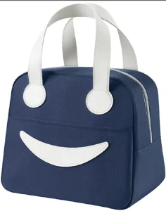 Outdoor Portable Foil Lunch Bag Portable Family Thermal Insulated Food Lunch Bag for Ladies