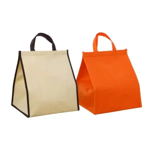 Portable Lunch Bag for Easy Carrying School Bags with Lunch Bag Custom Color and logo