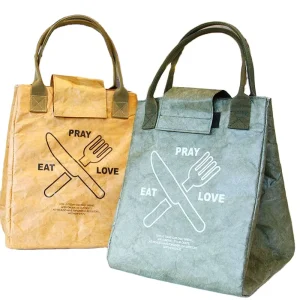 Waterproof Oil Proof Tyvek Canvas Zipper Bento Lunch Cooler Bag Eco friendly Durable 2 Persons Thermal Insulated Office Workers