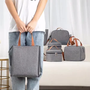 Women Leakproof Lunch Container Cooler Bag Meal Prep Lunchbox Tote Bag Portable Small Thermal Lunch Box